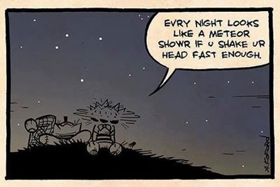 Watch every night a meteor shower