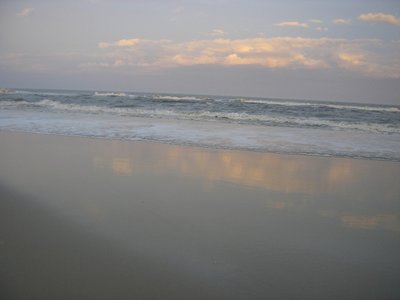 assateague.jpg