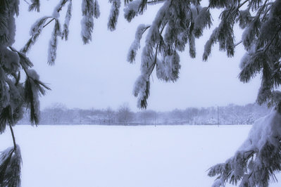 No one is interested in snow baseball.