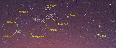 Orion region enlarged from APOD and labeled<br />(click to enlarge)