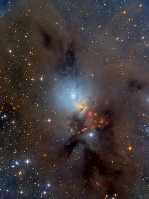 NGC1333_LRGB_Oleg_Bryzgalov_2013_v3_800.jpg
