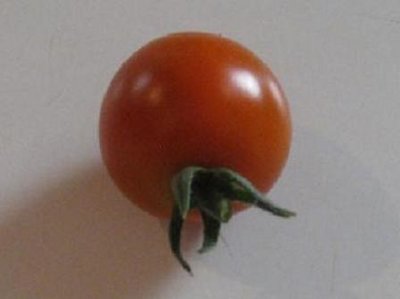 cherry tomato.jpg