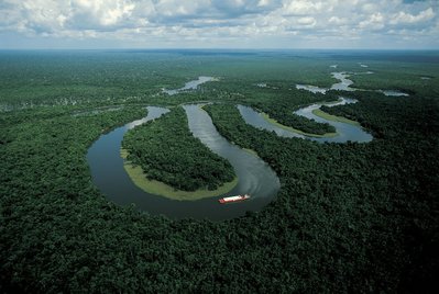 Amazone River, near Manaus