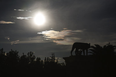 mérida, spain. 2014-09-13