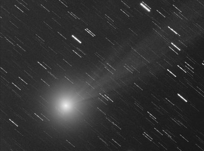 Pavelchak_C_Lovejoy-2015_02_01-Small.jpg