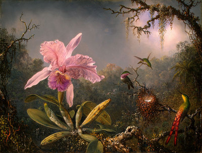 Painting of Martin Johnson Heade (not related to astro, sorry!)