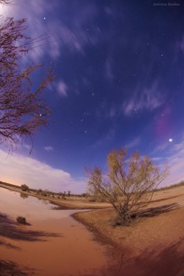 Desert under moonlight_small.jpg