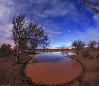 Desert under moonlight 2_small.jpg