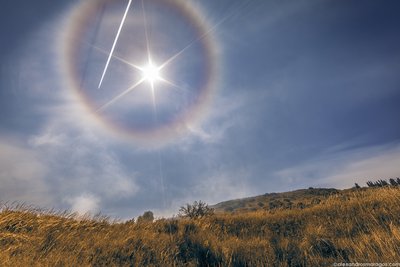 Circular_Halo_Alex_Maragos_small.jpg