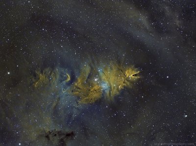 NGC 2264 FINAL focus FINAL 3456x  Rotulo_small.jpg