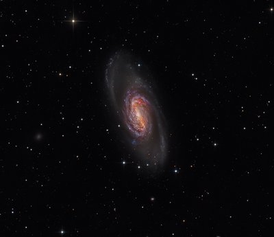 NGC2903.jpg