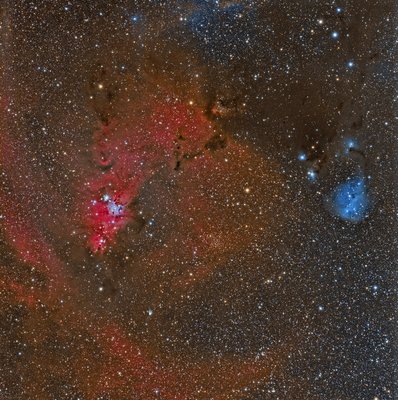 ConeNebulaRegion-IC446.jpg