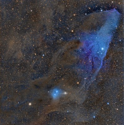 IC4592.jpg