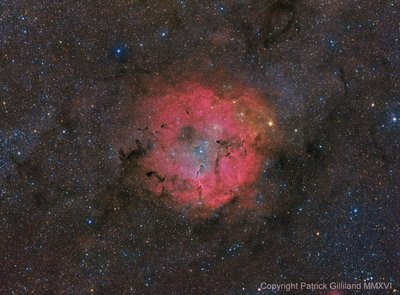 IC1396 Wide_small.jpg