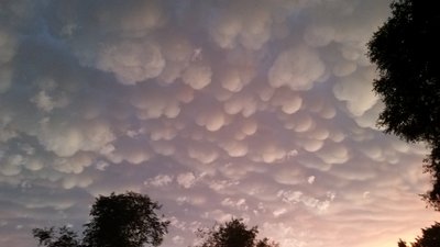 Mammatus.jpg