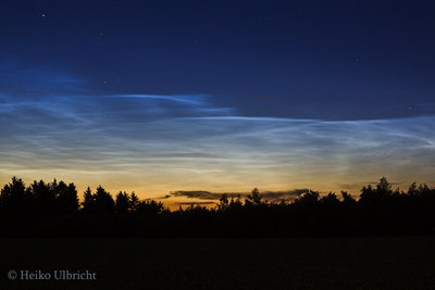 NLC-2016-06-19.jpg