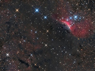 SH2 140,LDN 1201,HH 251,252,253,254 (Cepheus)_small.jpg