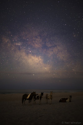 Assateague_Milkyway_1067x1600.jpg