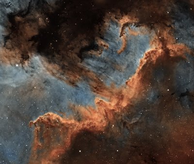 Cygnus wall_colour_small.jpg