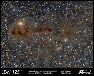 LDN1251_stack_lum_pixinsight-D810a-QSI-Recovered.jpg