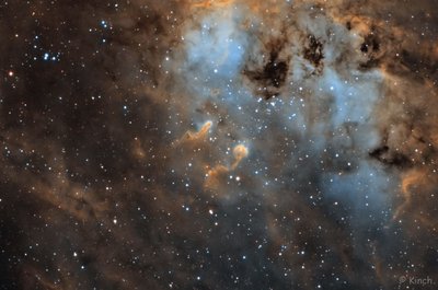 IC 410 (1618 x 1072).jpg