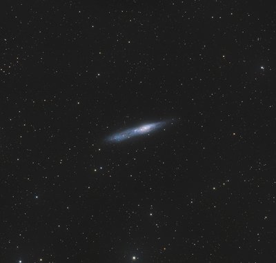 ngc55.jpg