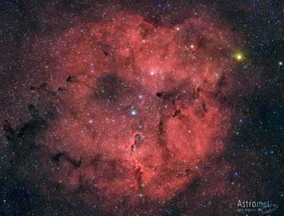 IC1396 Elephant Trunk.jpg