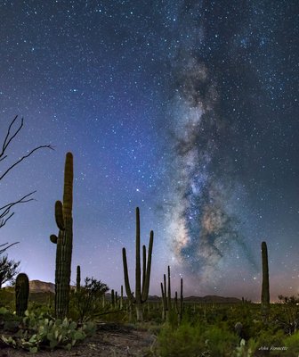 Saguaro NM_small.jpg