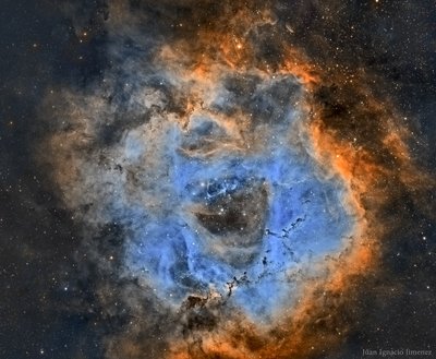 Rosette-Juan-950mm-Reprocessed_small.jpg