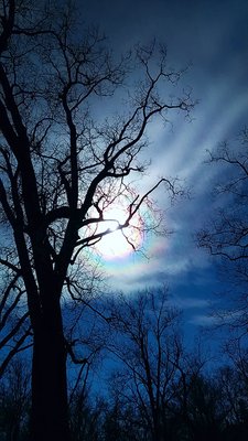 Sunbow-1-132234.jpg