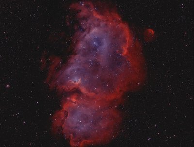 IC1848_bicolor_small.jpg