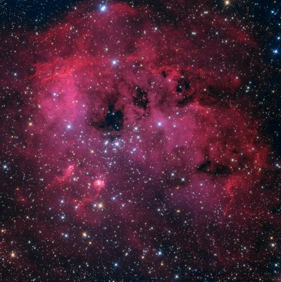 IC 410 for APOD.jpg