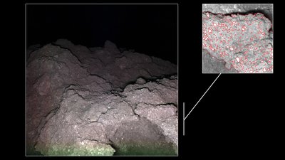 Ryugu_MASCam14_Night2_Seq3_rgb_enh.jpg