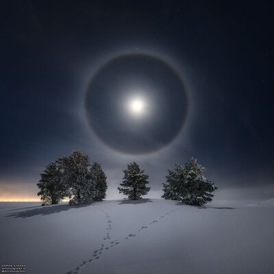 LunarHalo_Strand_960.jpg