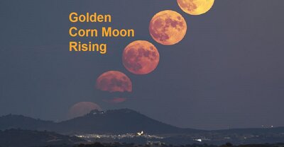 CornMoonRising_Palma_960.jpg