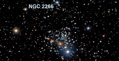 ngc2266_credner.jpg