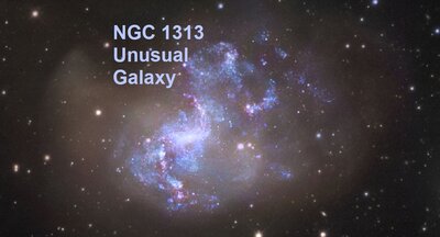 ngc1313_gendler.jpg