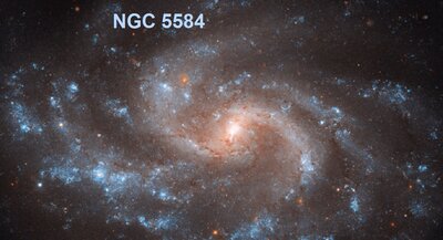 ngc5584_hst900r.jpg