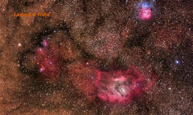 LagoonTrifid_mazlinmisti_c65.jpg