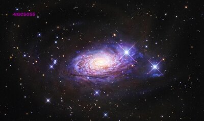 ngc5055_gabany_lg.jpg