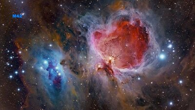 m42_vargas_900.jpg