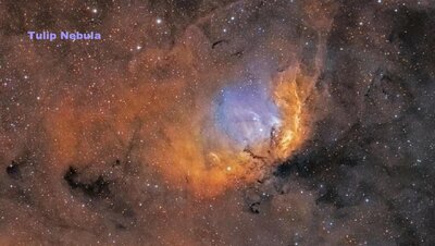 TulipNebulaMetsavainio800.jpg