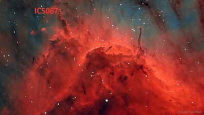 IC5067_vanvleet_960.jpg