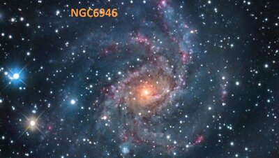 ngc6946e_gendler.jpg