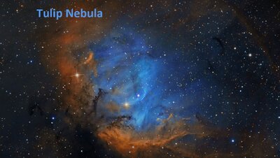 TulipNebula_SHO_pugh1024.jpg