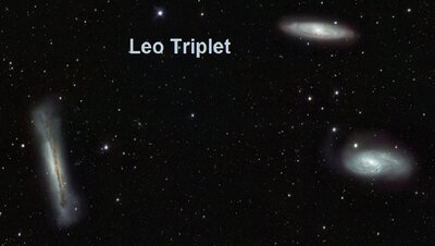 leotriplet_vst_900.jpg