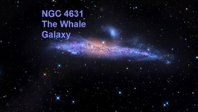 gabanyNGC4631withSatStream1063.jpg