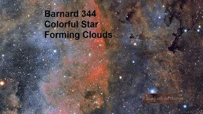 barnard344_vanderHoeven_960.jpg