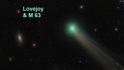 lovejoy1_peach_960.jpg