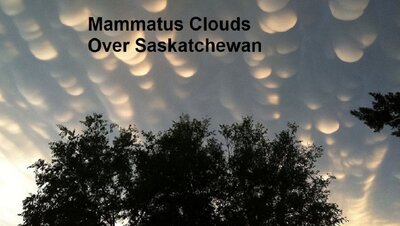 mammatus_lindsay_960.jpg